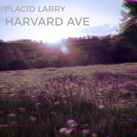 Placid Larry - Harvard Ave