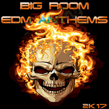 Various Artists - BIG ROOM EDM ANTHEMS 2K17