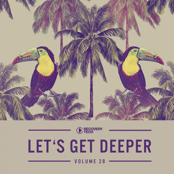 Various Artists - Let's Get Deeper, Vol. 28