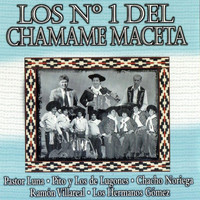 Various Aritsts - Los N°1 del Chamame Maceta