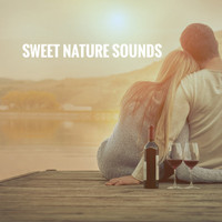 Nature Sounds, Rain for Deep Sleep and Nature Sound Collection - Sweet Nature Sounds