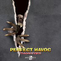 Perfect Havoc - The Beginning