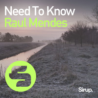 Raul Mendes - Need to Know