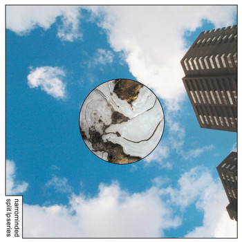 Living Ornaments & Accelera Deck - Narrominded Split LP Series #1