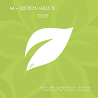 Javier Labarca - Deeper Shades 12