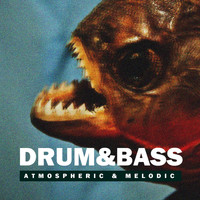 Cardmoth - Drum & Bass July 2017: Best of Chill, Vocal, Atmospheric & Melodic