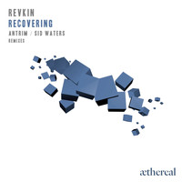 Revkin - Recovering