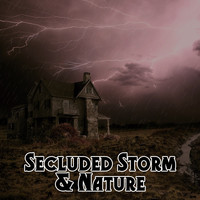 Rain Sounds & Nature Sounds|Sounds Of Nature : Thunderstorm, Rain|Lightning, Thunder and Rain Storm - Secluded Storm & Nature