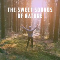 Rest & Relax Nature Sounds Artists, Sounds of Nature Relaxation and Sleep Sounds of Nature - The Sweet Sounds Of Nature