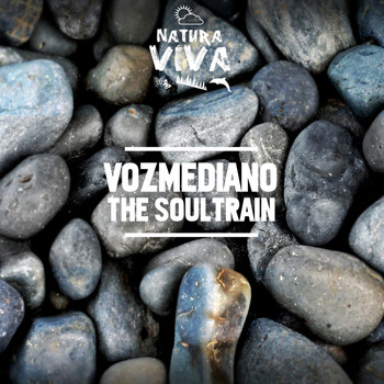 Vozmediano - The SoulTrain