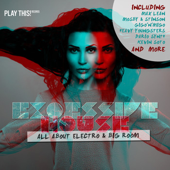 Various Artists - Excessive House - All About Electro & Big Room