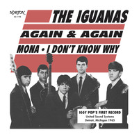 The Iguanas - Again and Again