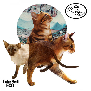 Luke Bedi - Exo