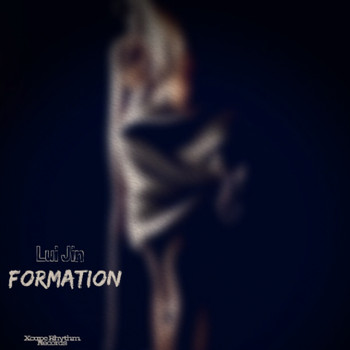 Lui Jin - Formation
