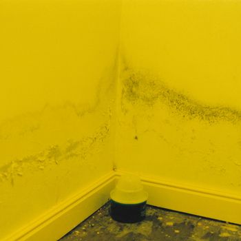 Larz - God Repainted Everything