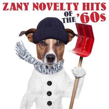 Various Artists - Zany Novelty Hits of the '60s