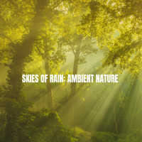 Rain Sounds Nature Collection, Rain Sounds Sleep and Ocean Sounds Collection - Skies of Rain: Ambient Nature