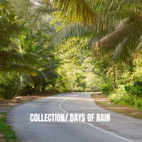 Rest & Relax Nature Sounds Artists, Healing Sounds for Deep Sleep and Relaxation and Ocean Sounds Co - Collection: Days of Rain