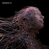 System2 - B
