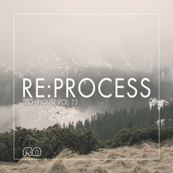Various Artists - Re:Process - Tech House, Vol. 13