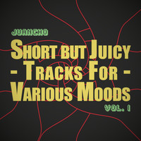 Juancho - Short but Juicy Tracks for Various Moods, Vol. I