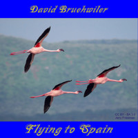 David Bruehwiler - Flying to Spain