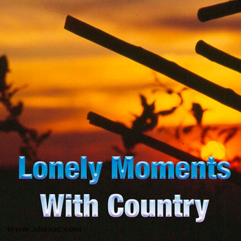Various Artists - Lonely Moments With Country