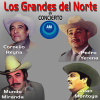 Pedro Yerena - Los Grandes del Norte en Concierto