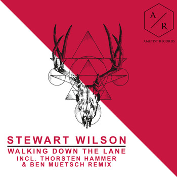 Stewart Wilson - Walking Down the Lane
