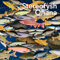 Stereofysh - Ohana