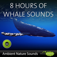 Mind Amend - Deep Water Whale Sounds