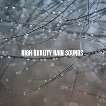 Rain Sounds Nature Collection, Rain Sounds Sleep and Ocean Sounds Collection - High Quality Rain Sounds
