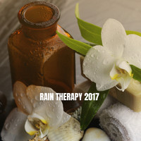 Rain, Ocean Sounds and Rainfall - Rain Therapy 2017