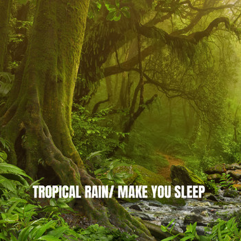 Rain Sounds, White Noise Therapy and Sleep Sounds of Nature - Tropical Rain: Make You Sleep