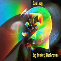 Dan Levy - Big Pocket Mushroom
