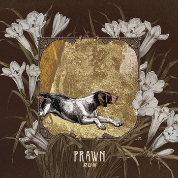 Prawn - North Lynx