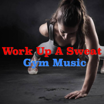 Various Artists - Work Up A Sweat: Gym Music