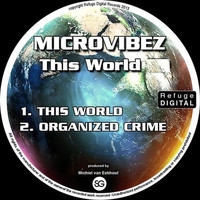 Microvibez - This World