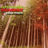 Electrowave - Soundwave