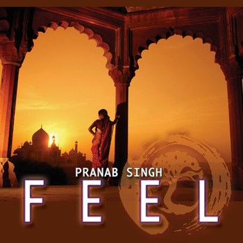 Pranab Singh - Feel