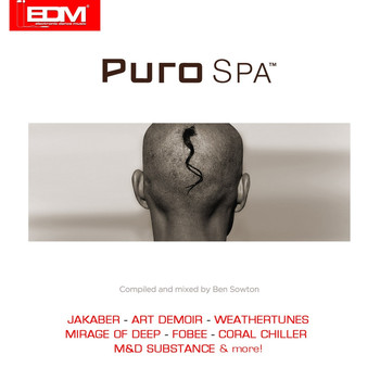 Various Artists - Puro Spa Vol. 1