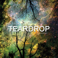 Sandstorm - Teardrop (take 2)