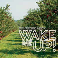 Brickbreaker - Wake Me Up