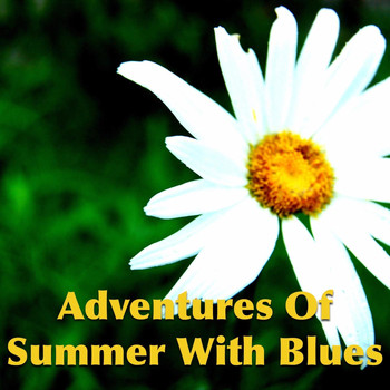Various Artists - Adventures Of Summer With Blues