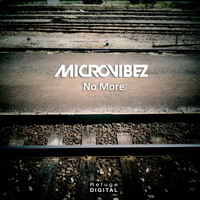 Microvibez - No More (Extended Mix)