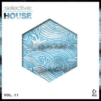 Various Artists - Selective: House, Vol. 11
