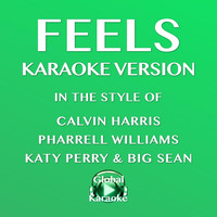 Global Karaoke - Feels (In the Style of Calvin Harris, Pharrell Williams, Katy Perry & Big Sean) [Karaoke Version]