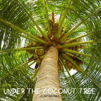 Clinton Paul - Under the Coconut Tree