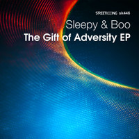 Sleepy & Boo - The Gift of Adversity