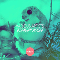 Valentina Black - Summer Tunes - House, Tech House, Techno, Vol. 1